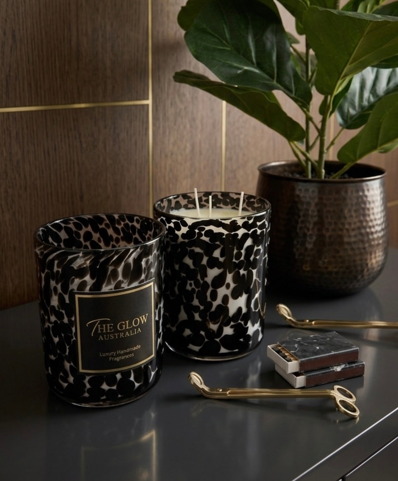 The Statement Collection